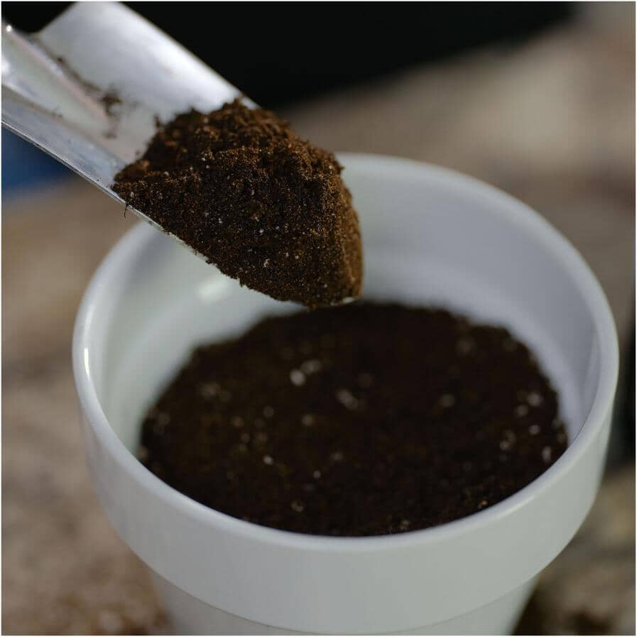 Premium Cactus Plant Mix - 5 L