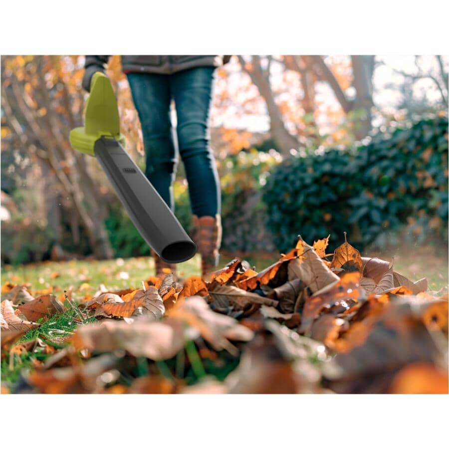 Electric Leaf Blower - 7 amp