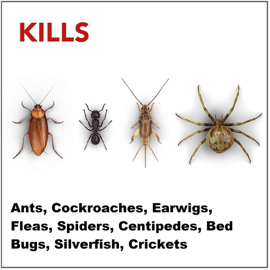 Ant, Roach and Earwig Killer Spray - 350 g