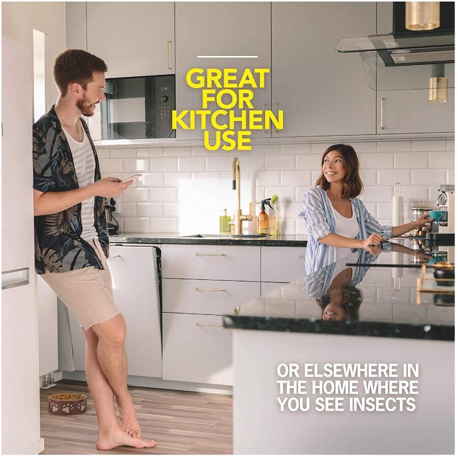 Home Insect Killer Spray - 350 g