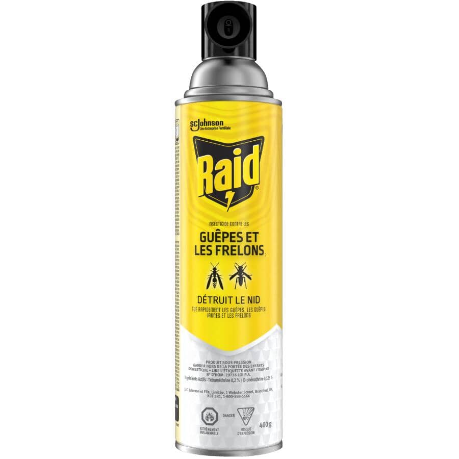Wasp & Hornet Bug Killer Spray - 400 g