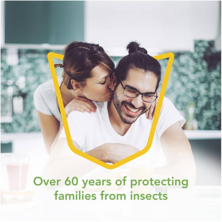 Wasp & Hornet Bug Killer Spray - 400 g