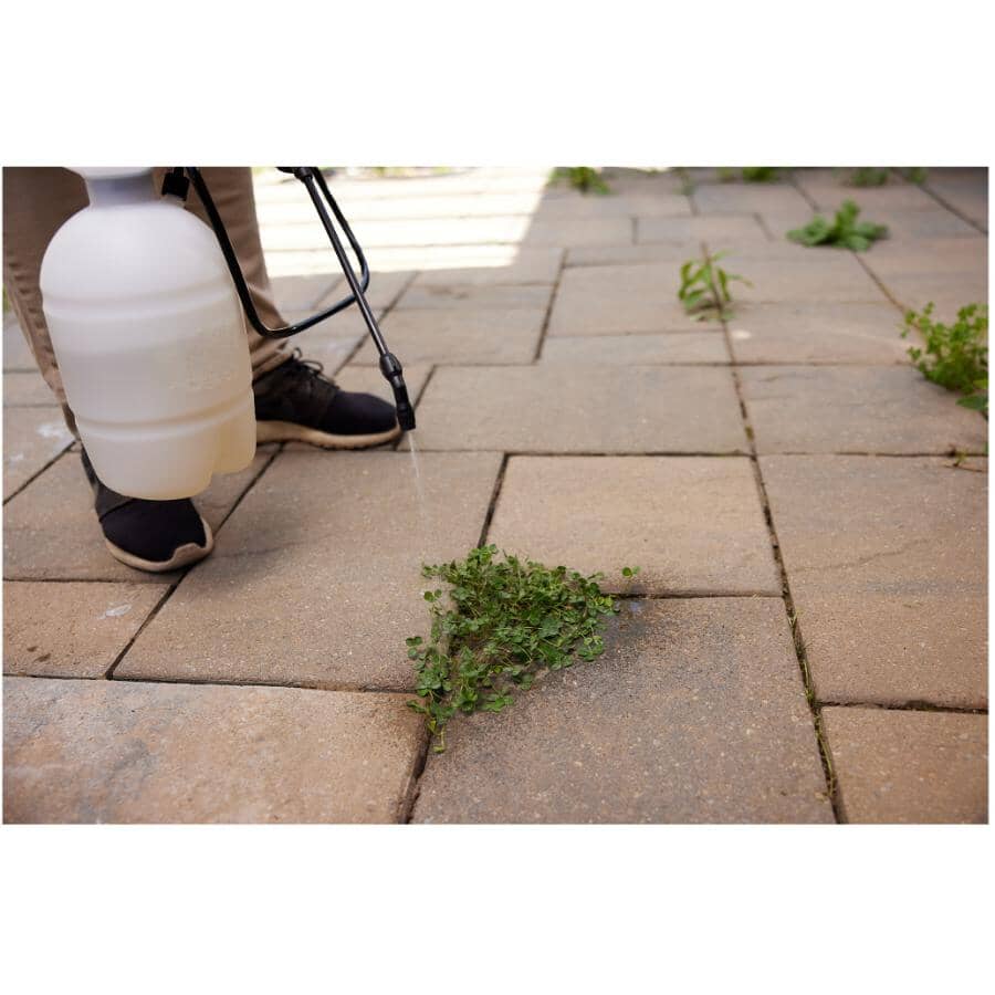 Concentrated Grass and Weed Control Herbicidal Soap - 1 L