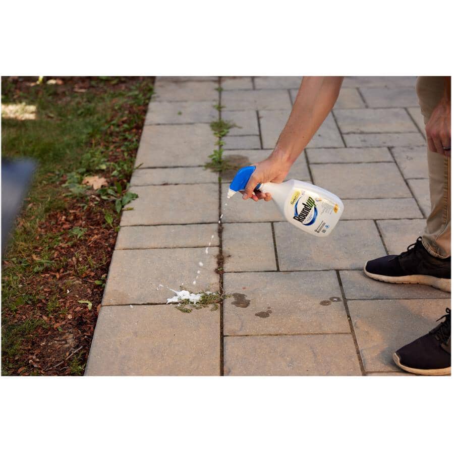 Non-Selective Herbicide - with FastAct Foam + Ready-To-Use, 1 L