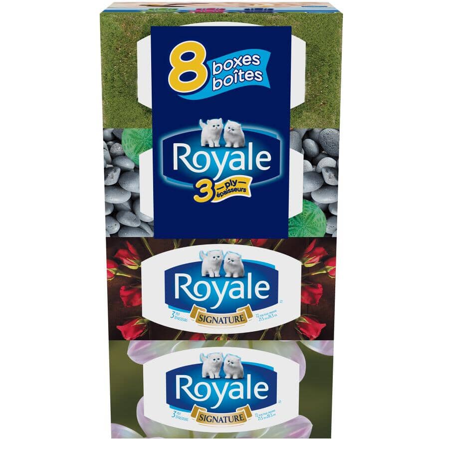 3 Ply Signature Facial Tissue - 72 Sheets, 8 Boxes