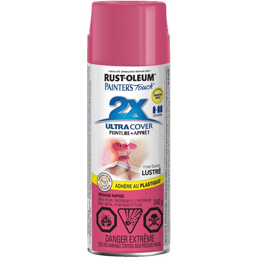 Painter's Touch 2X Ultra Cover Spray Paint - Gloss Berry Pink, 340 g