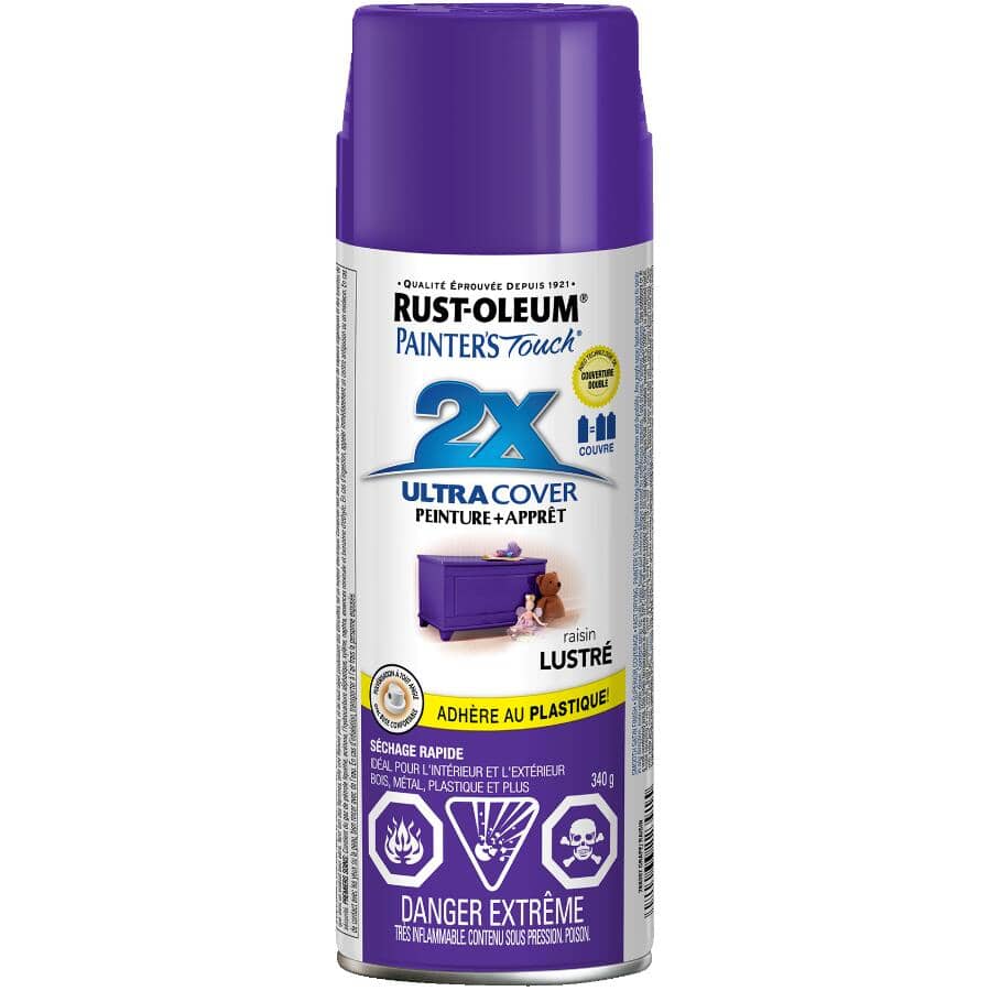 Painter's Touch 2X Ultra Cover Spray Paint - Gloss Grape, 340 g