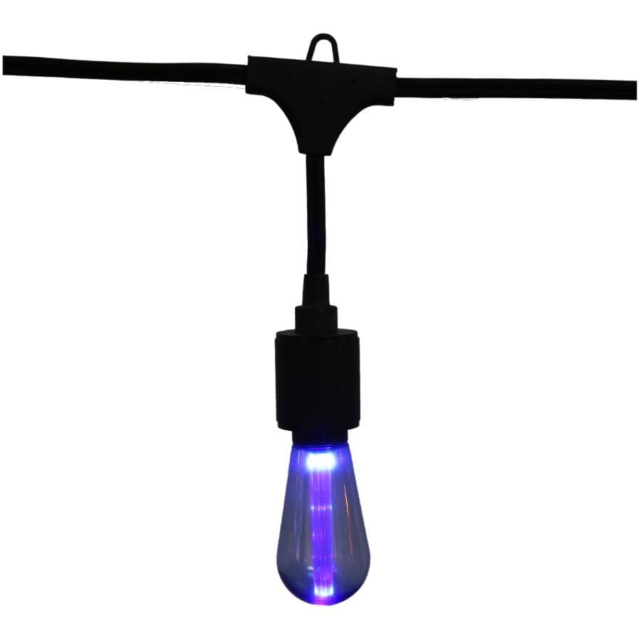 S10 Drop Socket Light Set with Black Wire - Multi-Colour, 10 Lights