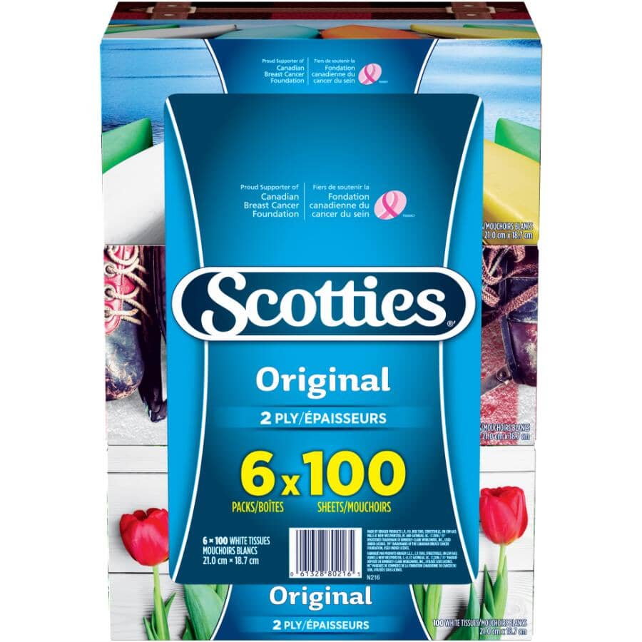 2 Ply Facial Tissue - 100 Sheets, 6 Boxes