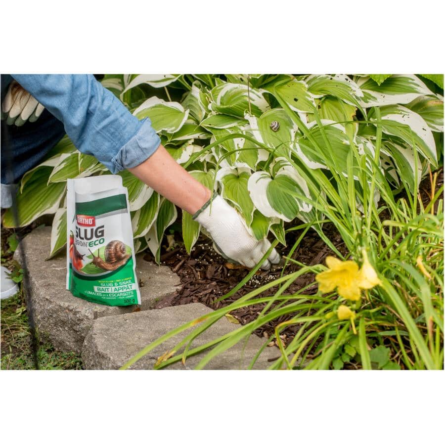 1kg Slug B Gon Slug and Snail Bait