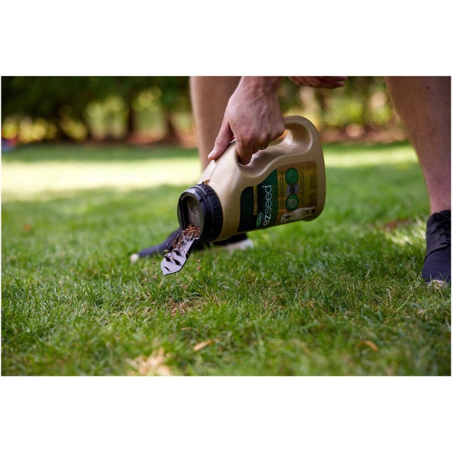 EZ Seed Dog Spot Repair - 907 g