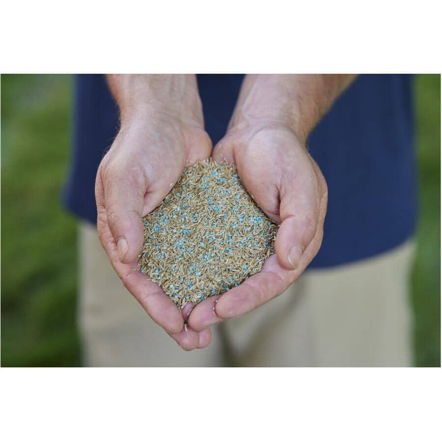 Turf Builder Quick + Thick Low Maintenance Grass Seed Mix - 1.2 kg