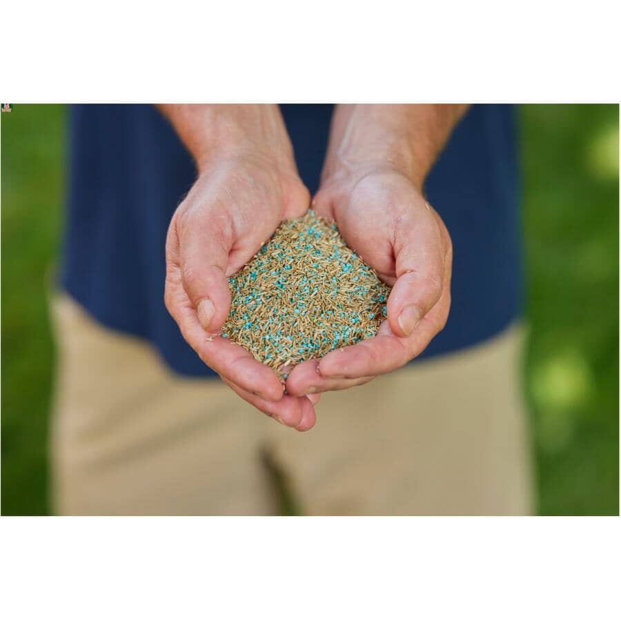 Turf Builder Quick + Thick Tough & Resilient Grass Seed Mix  - 1.2 kg