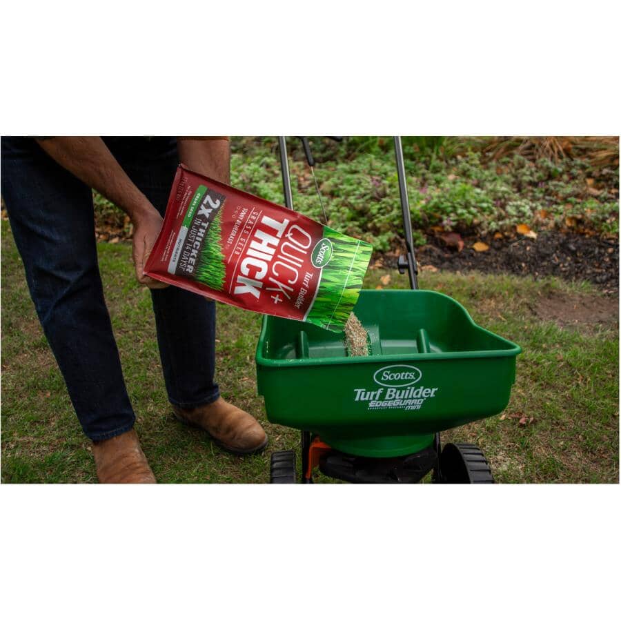 Turf Builder Quick+Thick Grass Seed - Sunny Bluegrass Mix, 1.2 kg