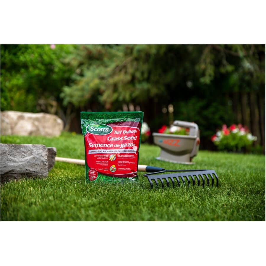 Turf Builder Sunny Areas Grass Seed - 1 kg