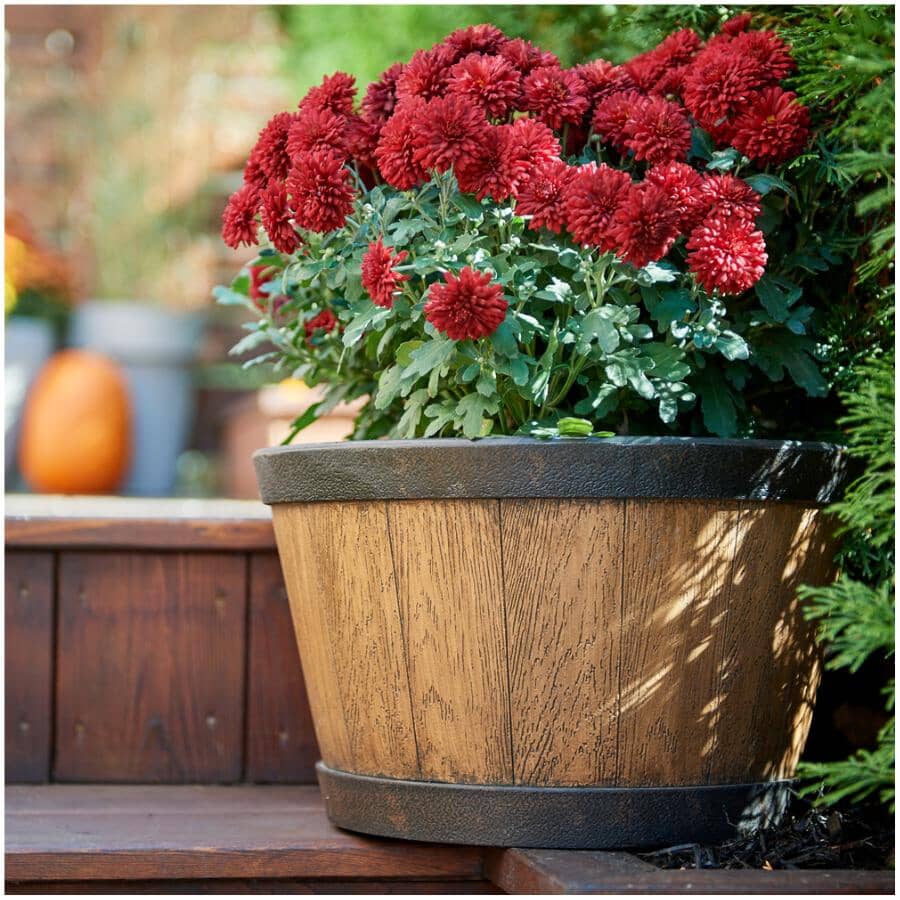 15.5" Natural Oak Whiskey Barrel Planter