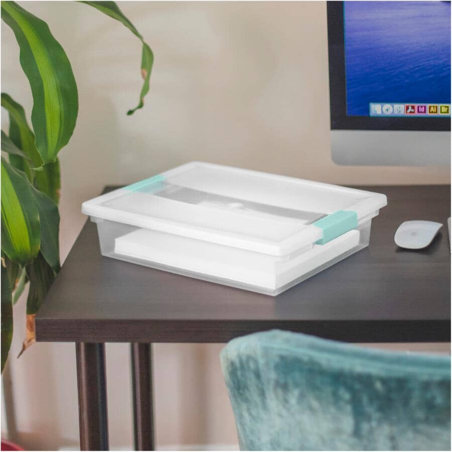 Large Clip Storage Box - Clear