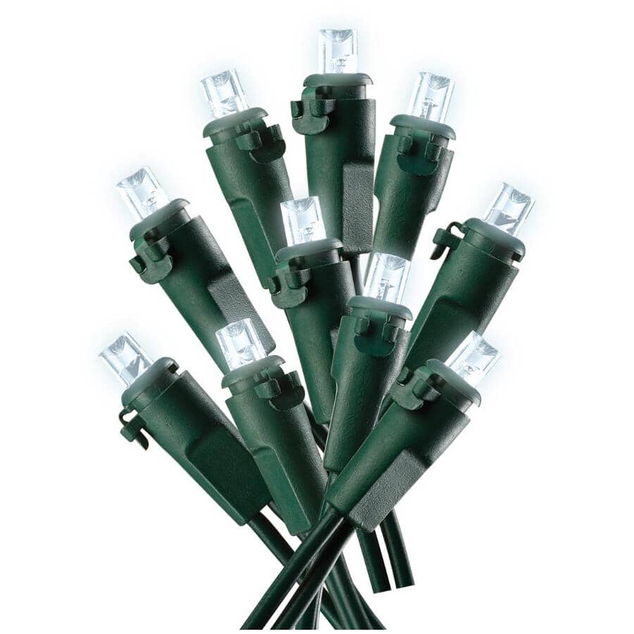 Conical Light Set with Green Wire - Pure White, 50 LEDs