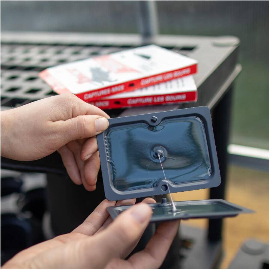 4 Pack Mouse Glue Traps