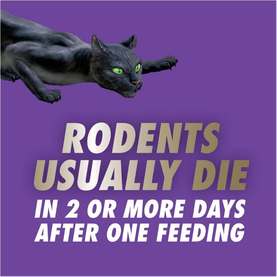 Advanced Formula Disposable Rat Killer Bait Station - 113 g, 2 Pack