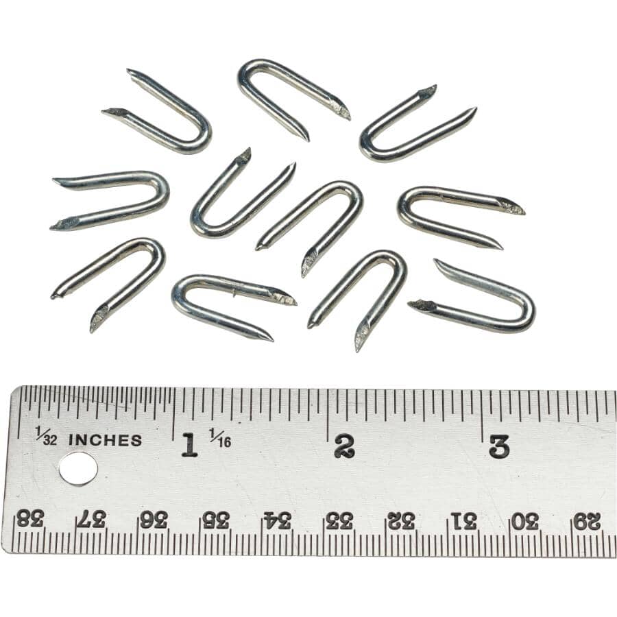 3/4" Galvanized Poultry Netting Staples - 290 Pack