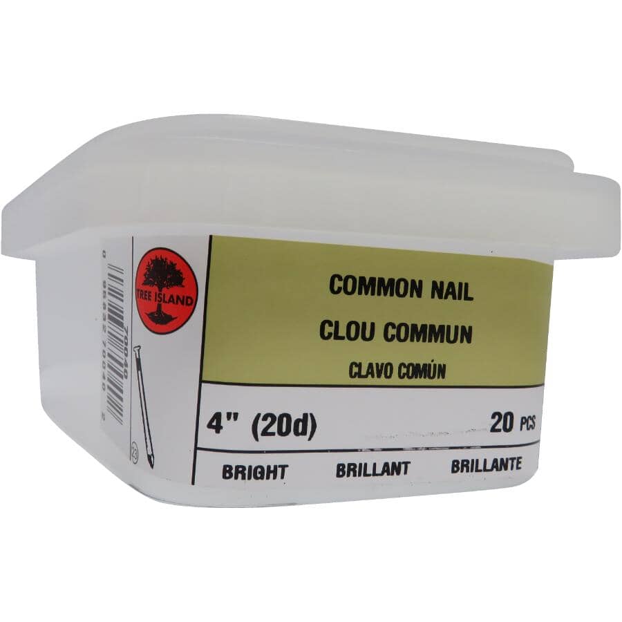 4" Bright Steel Common Nails - 6 Gauge, 20 Pack