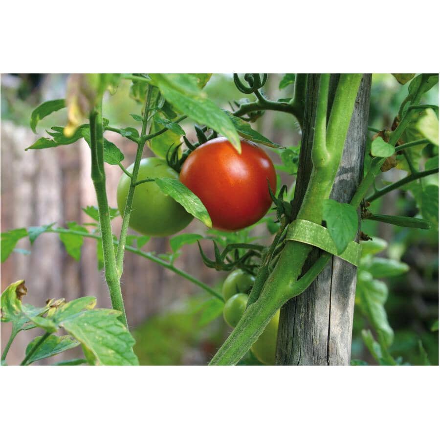 One-Wrap Garden Ties - 8" x 1/2", 45 Pack