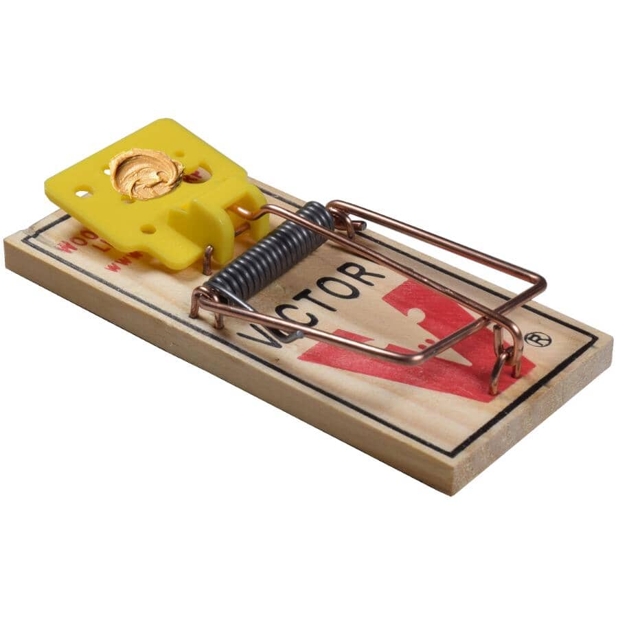 Easy Set Mouse Trap - 2 Pack