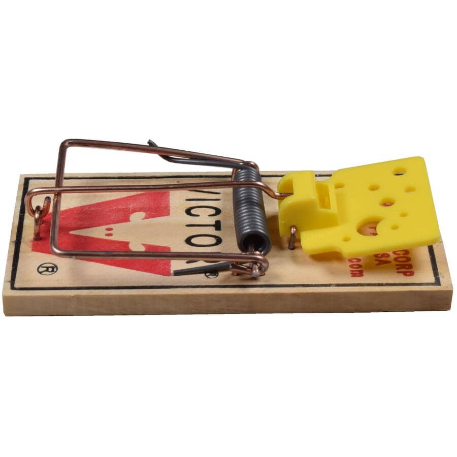 Easy Set Mouse Trap - 2 Pack