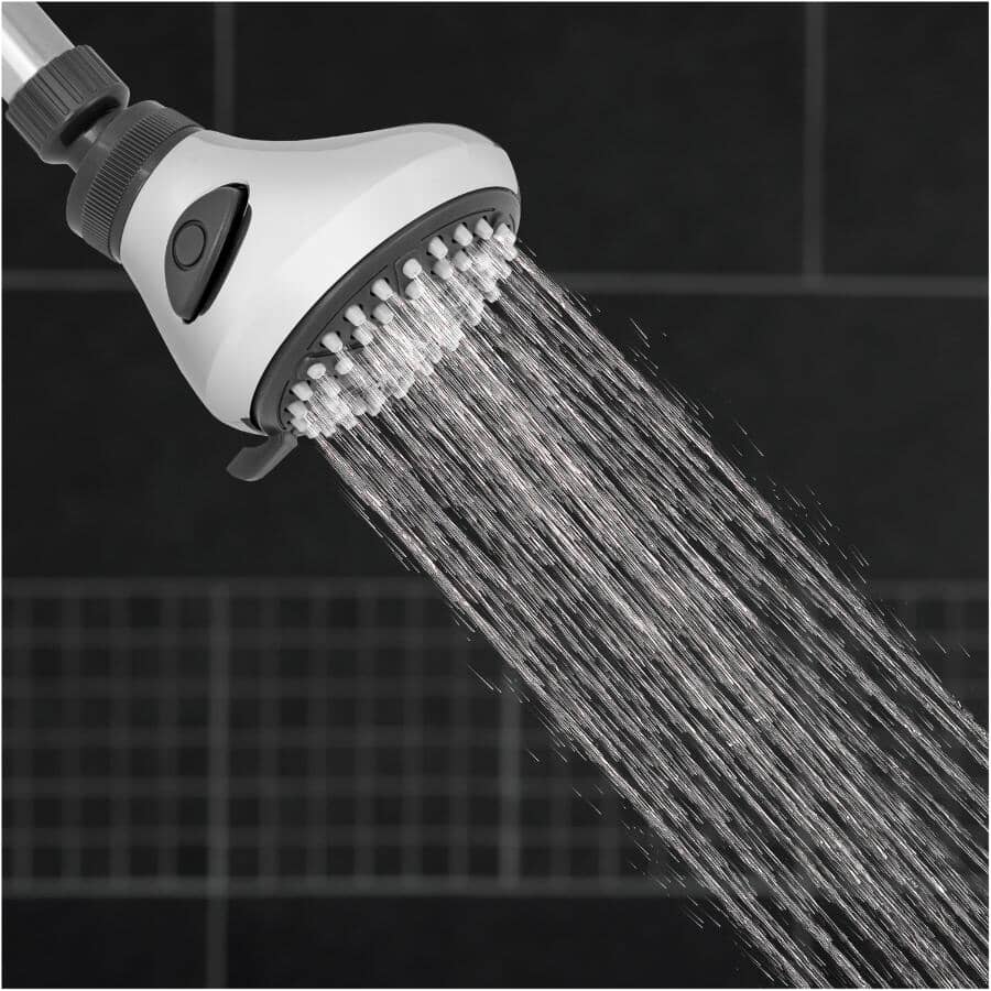 EcoFlow 4 Setting Wall Mount Showerhead - Chrome