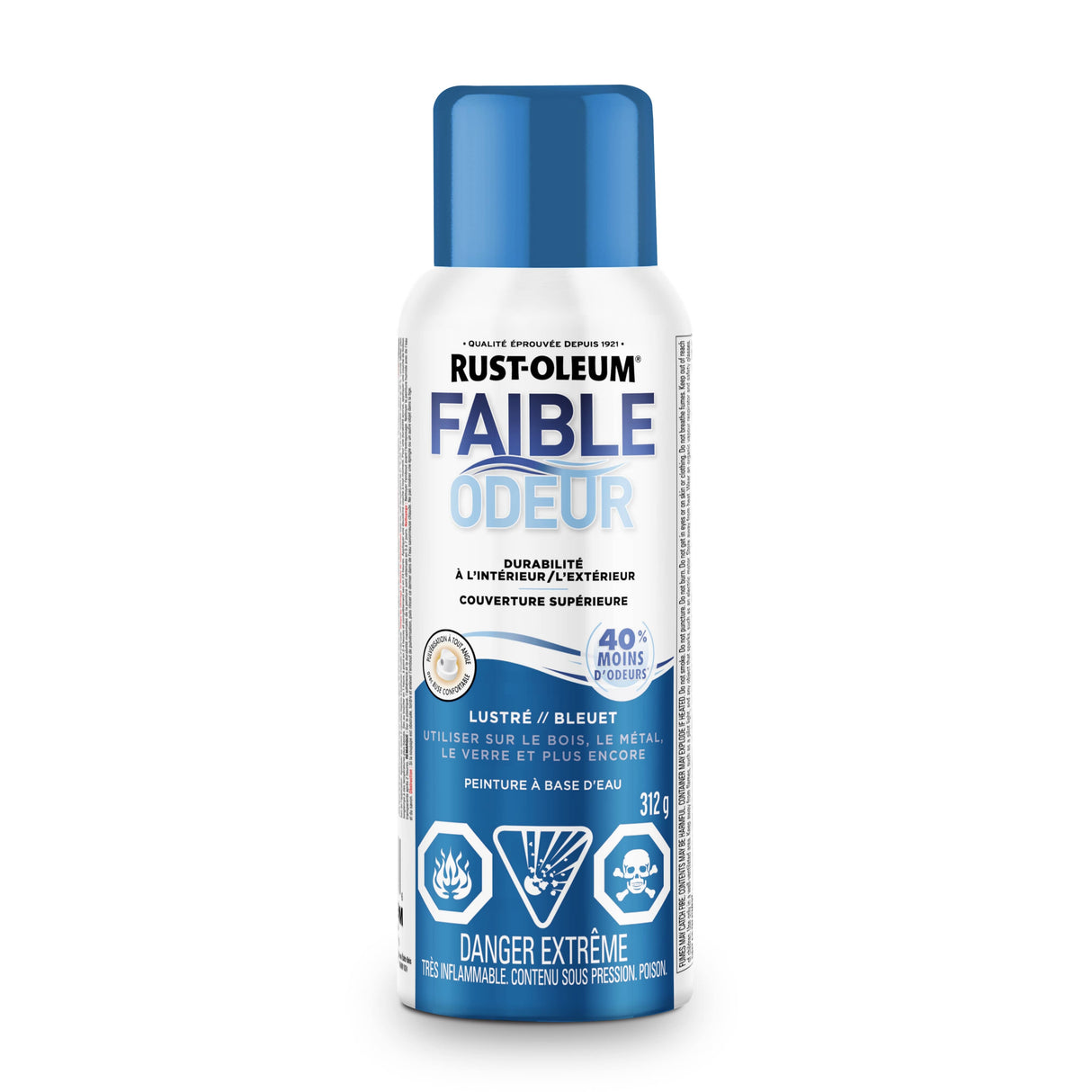Low Odour Water-Based Spray Paint - Blueberry, 312 g
