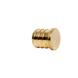 3/4" PEX Brass Plug