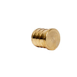 3/4" PEX Brass Plug