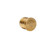 3/4" PEX Brass Plug