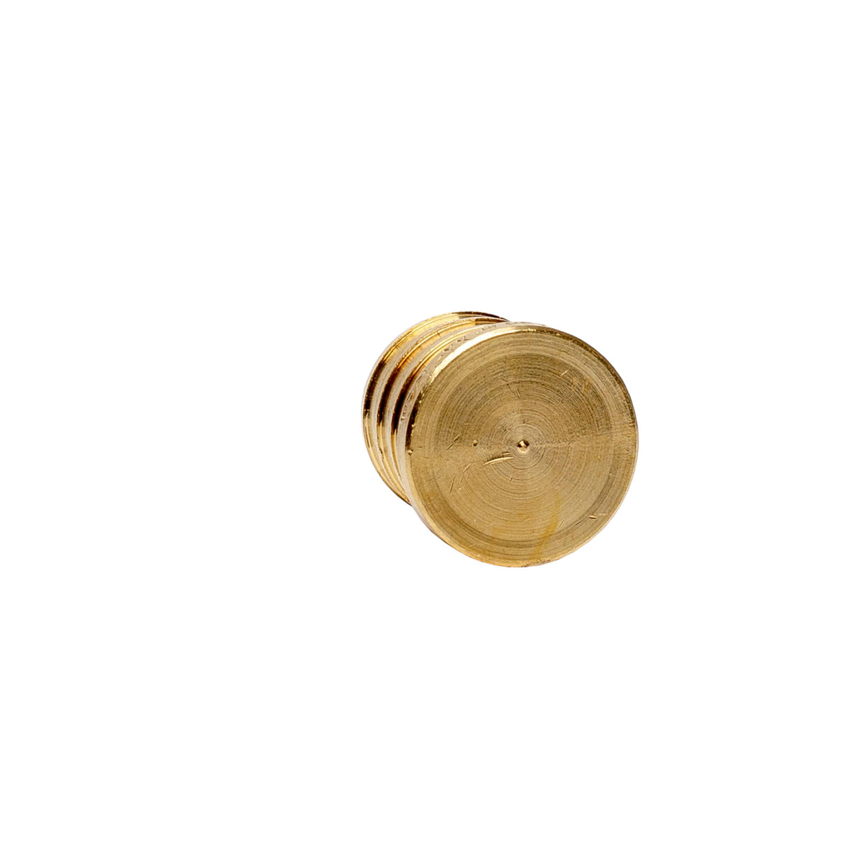 3/4" PEX Brass Plug