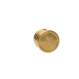 3/4" PEX Brass Plug