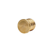 3/4" PEX Brass Plug