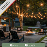 Solar Edison Light Set - 12 Warm White LEDs