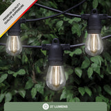 Solar Edison Light Set - 12 Warm White LEDs