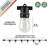Solar Edison Light Set - 12 Warm White LEDs