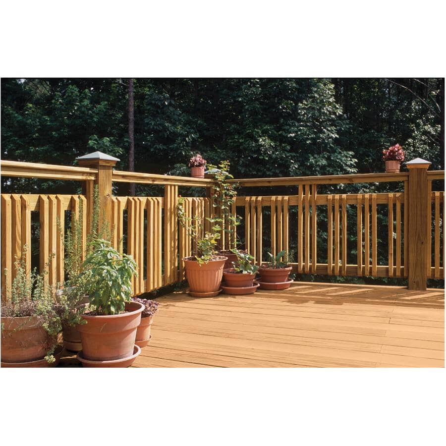 42" Sienna Pressure Treated Angled End Baluster