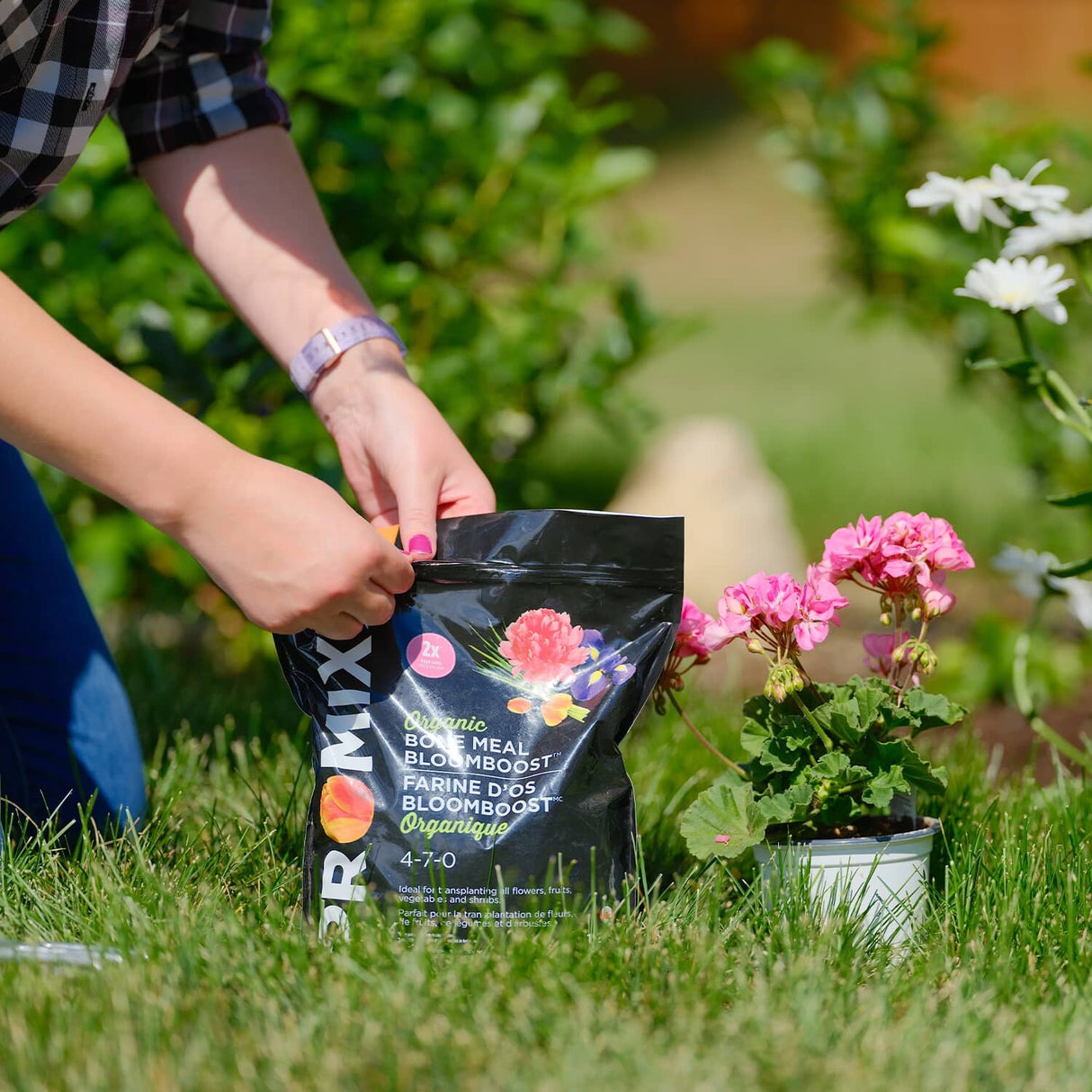 1.2kg 4-7-0 Bone Meal Fertilizer