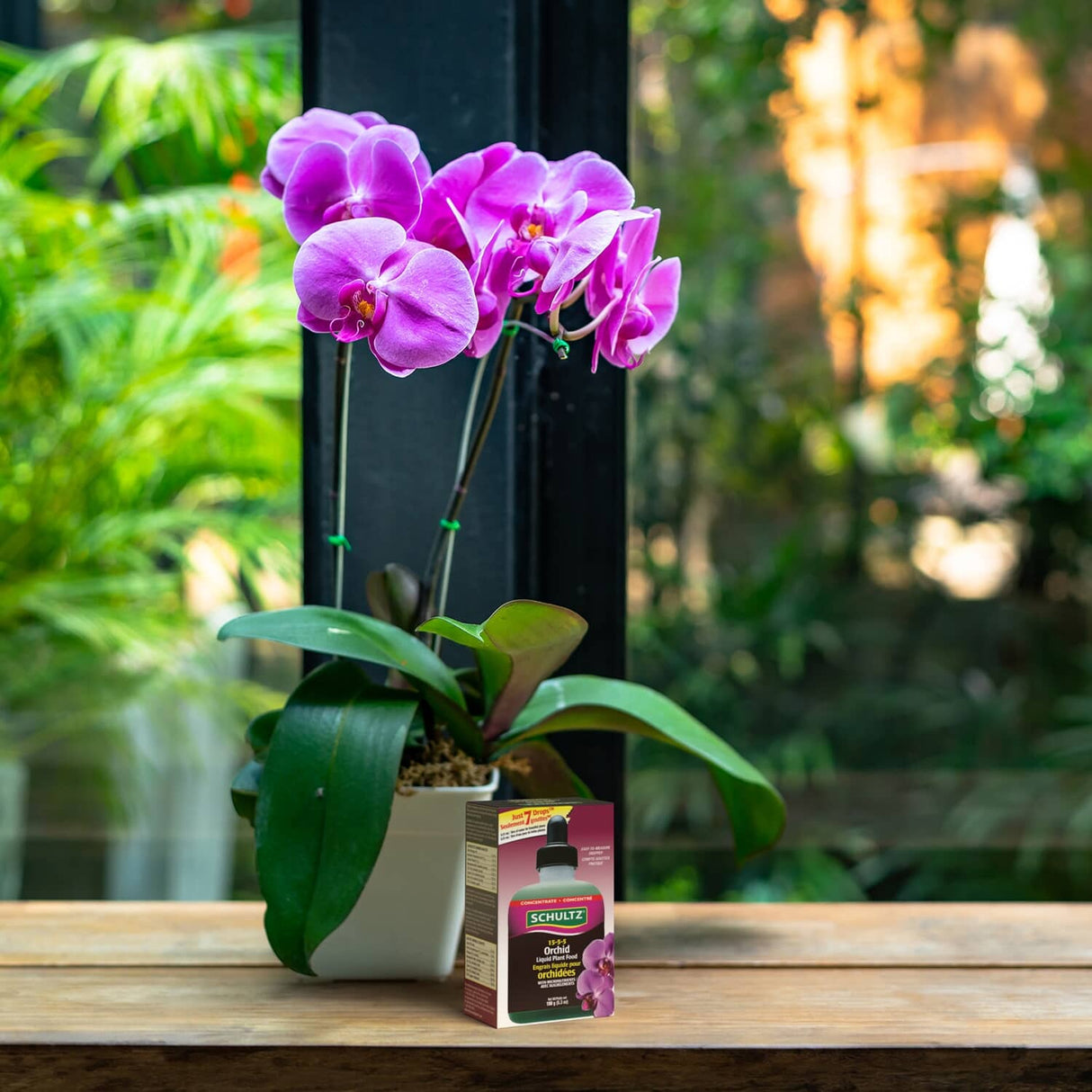 Liquid Orchid Plant Food - 150 g