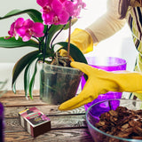 Liquid Orchid Plant Food - 150 g