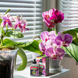 Liquid Orchid Plant Food - 150 g