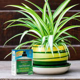 Original Multi-Purpose Liquid Plant Food - 10-15-10, 236 ml