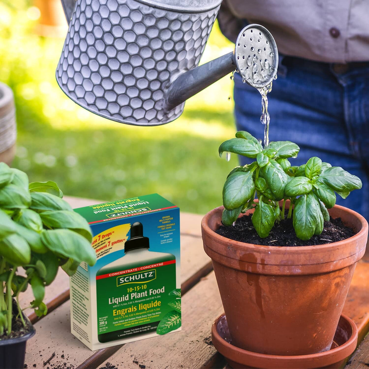 Original Multi-Purpose Liquid Plant Food - 10-15-10, 236 ml