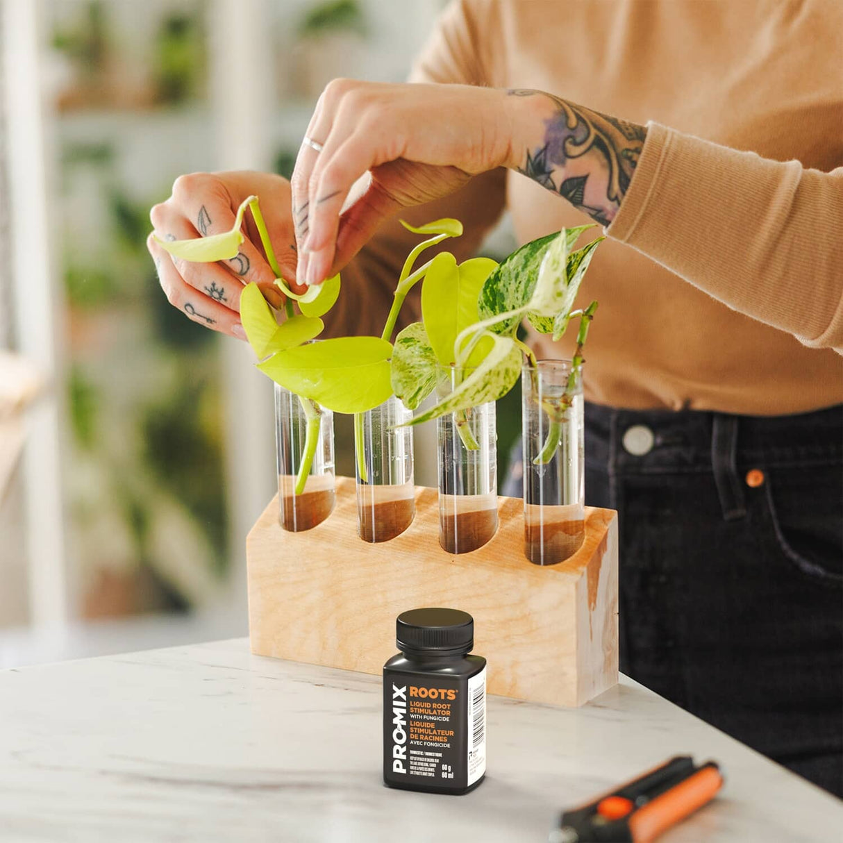 Roots Liquid Root Stimulator with Fungicide - 60 ml