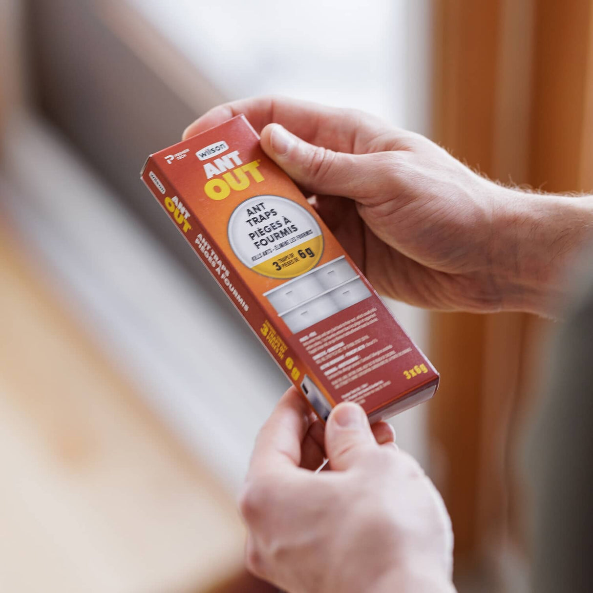 AntOut Ant Traps - 3 Pack