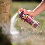 SpiderOut Spider Killer Aerosol - 425 g